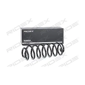 188C0536 RIDEX