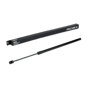 219G0970 RIDEX