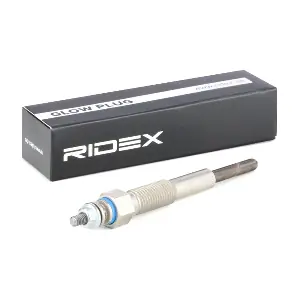 RIDEX 243G0099