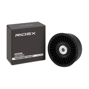 RIDEX 313D0051