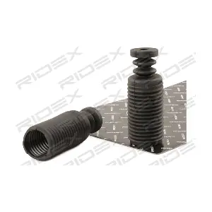919D0074 RIDEX