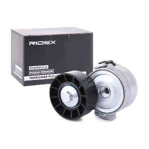310T0510 RIDEX