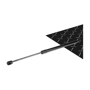 RIDEX 219G0975