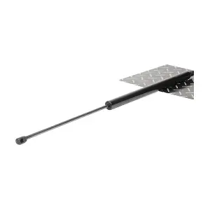 219G0154 RIDEX
