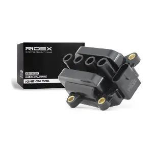 RIDEX 689C0284