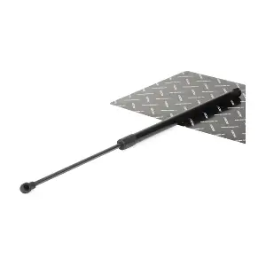 219G0050 RIDEX