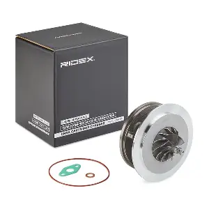 4973C0191 RIDEX