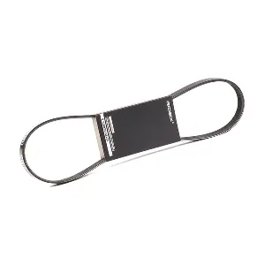 305P0329 RIDEX