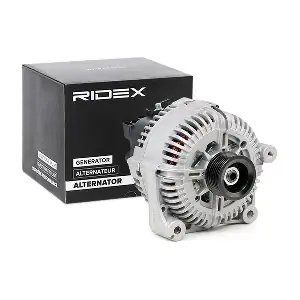4G0251 RIDEX