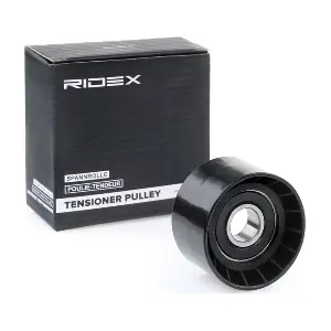 RIDEX 310T0098