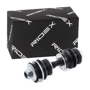 RIDEX 3229S0365