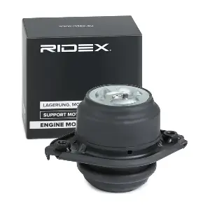 RIDEX 247E0286