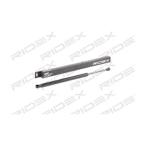 219G0676 RIDEX