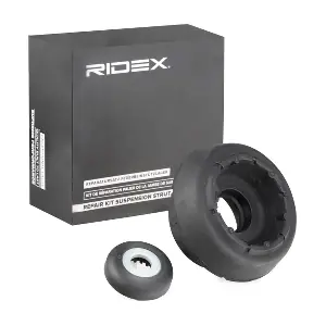 RIDEX 1632R0004