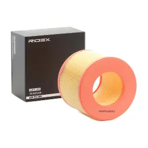8A0138 RIDEX