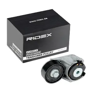 310T0097 RIDEX