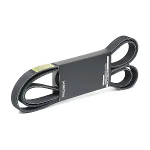 RIDEX 305P0365