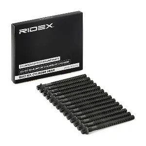 1217B0024 RIDEX