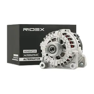 4G0646 RIDEX