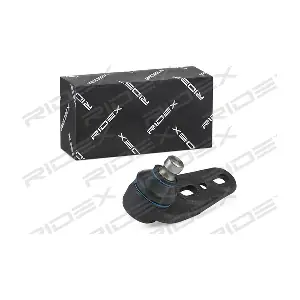 2462S0287 RIDEX