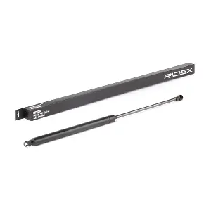 219G0919 RIDEX