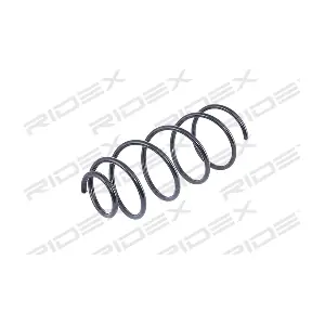 188C0017 RIDEX