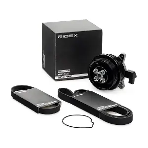 4172P0085 RIDEX