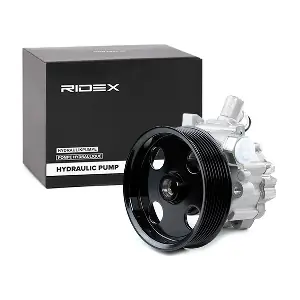 12H0099 RIDEX
