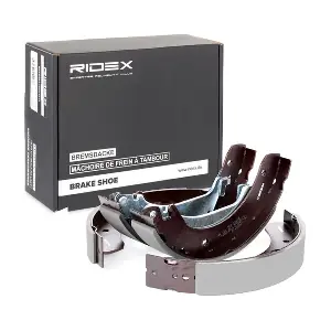 RIDEX 70B0133