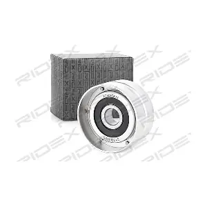 RIDEX 313D0095