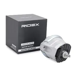 247E0376 RIDEX
