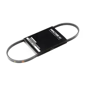 305P0247 RIDEX
