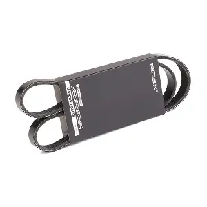 RIDEX 305P0164