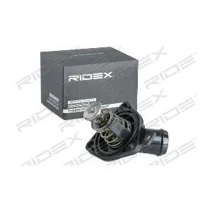 316T0259 RIDEX