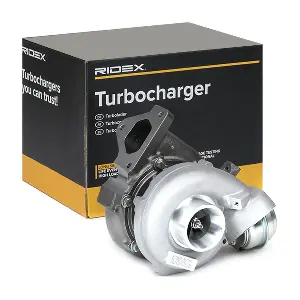 2234C0080 RIDEX