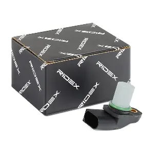 RIDEX 3946S0025