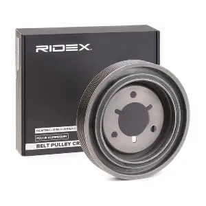 3213B0138 RIDEX