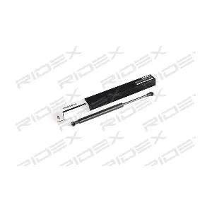 219G0296 RIDEX