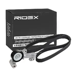 542R0646 RIDEX