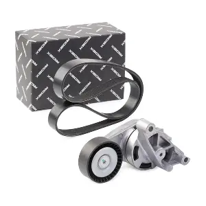 RIDEX 542R0044