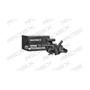 316T0260 RIDEX