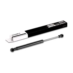 219G0170 RIDEX