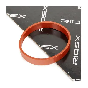 42G0070 RIDEX