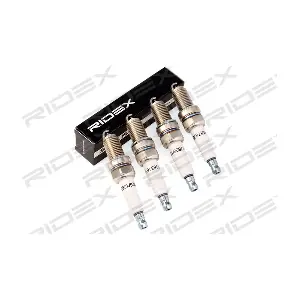 686S0311 RIDEX