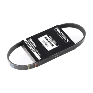 305P0120 RIDEX