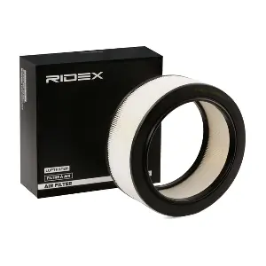 RIDEX 8A0620