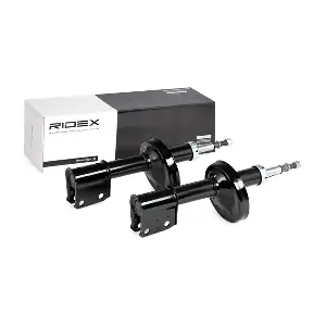 854S1884 RIDEX