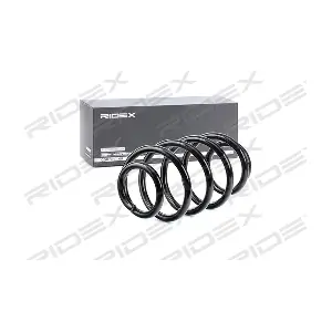RIDEX 188C0547