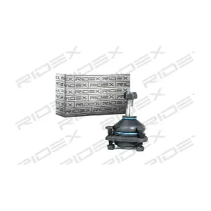 2462S0134 RIDEX