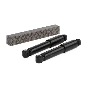 854S1832 RIDEX